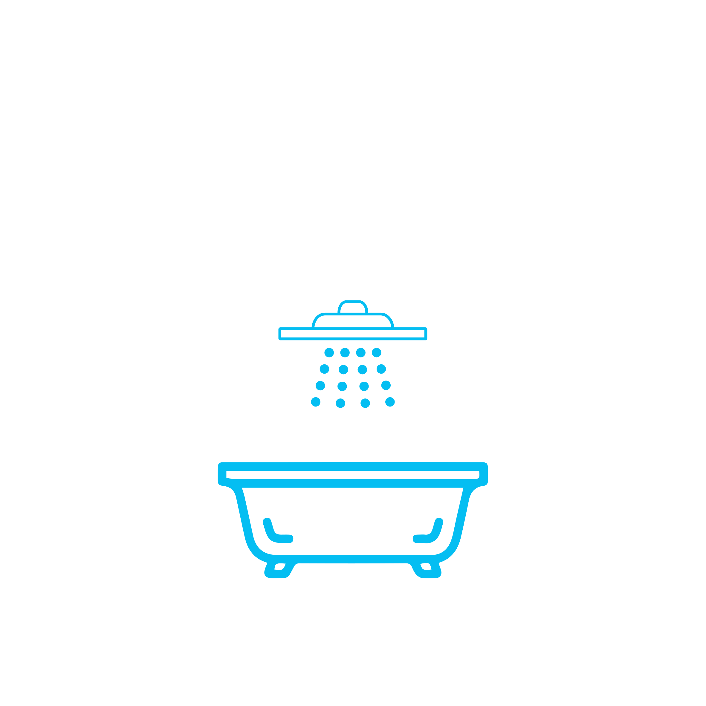 nest bathrooms logo
